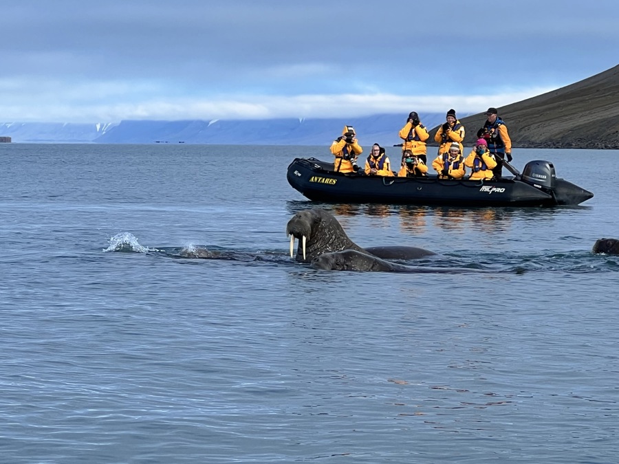 Summer at the Top of the World: My Story Aboard a Quark Arctic Expedition