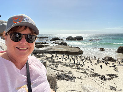 cape town south africa penguins