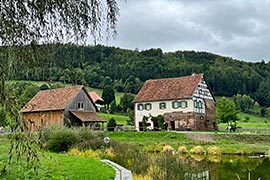 Cruise Holiday on Rhine River