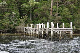 Cruise Holiday to Tasmania